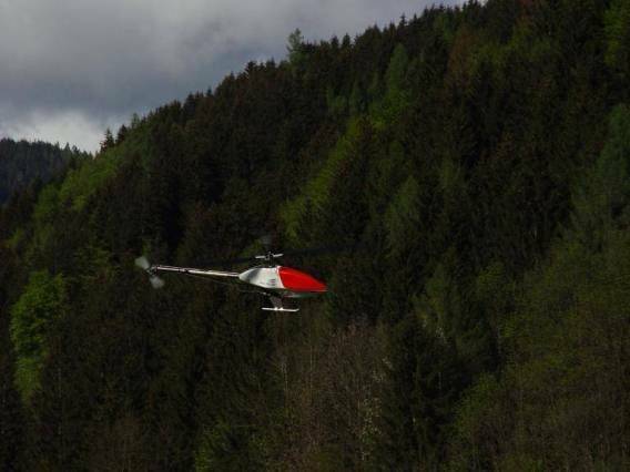 MP_1782_g[1].jpg